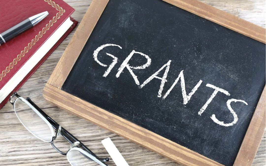 Community Ambassador and Mini-Grant Applications Open for Preservation Plan