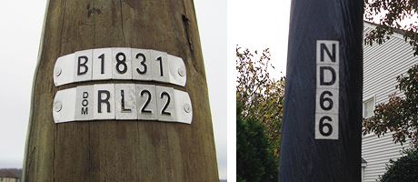 Street Lighting Program | City of Norfolk, Virginia