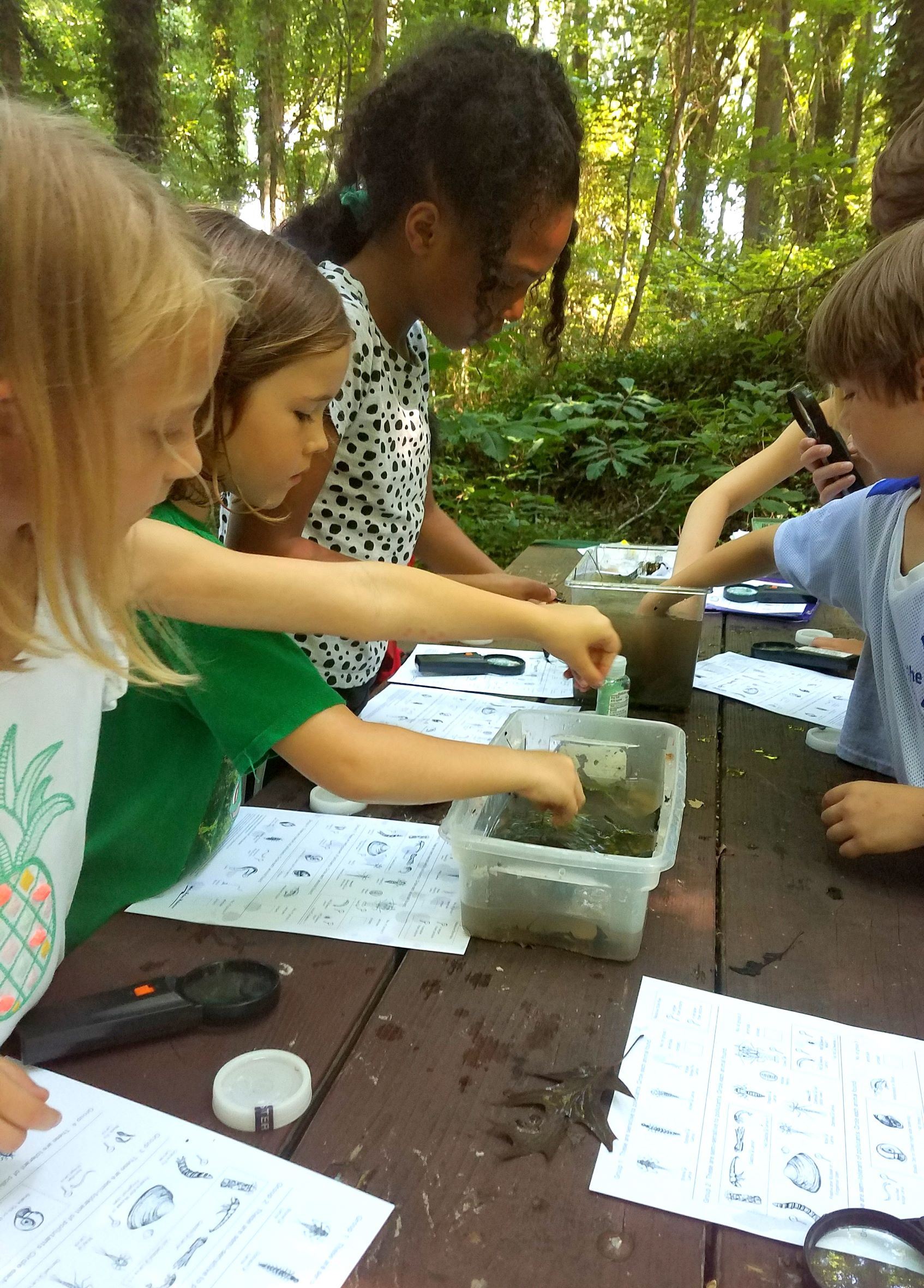 Chesapeake Arboretum | Chesapeake, VA