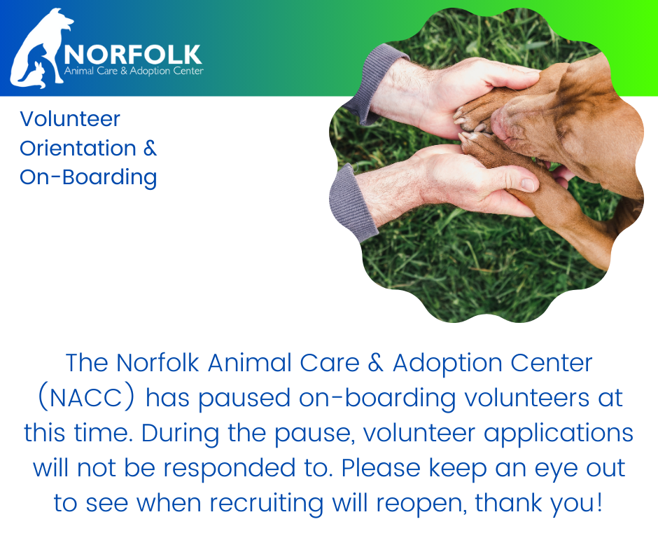 Get Involved | City of Norfolk, Virginia