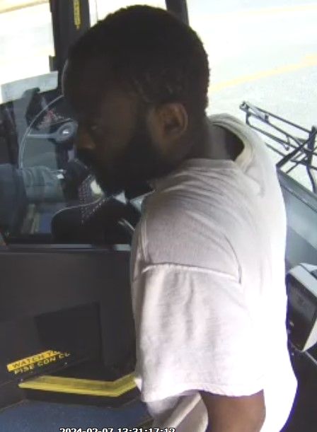 APD Detectives Search for a Suspect in Connection to a Robbery