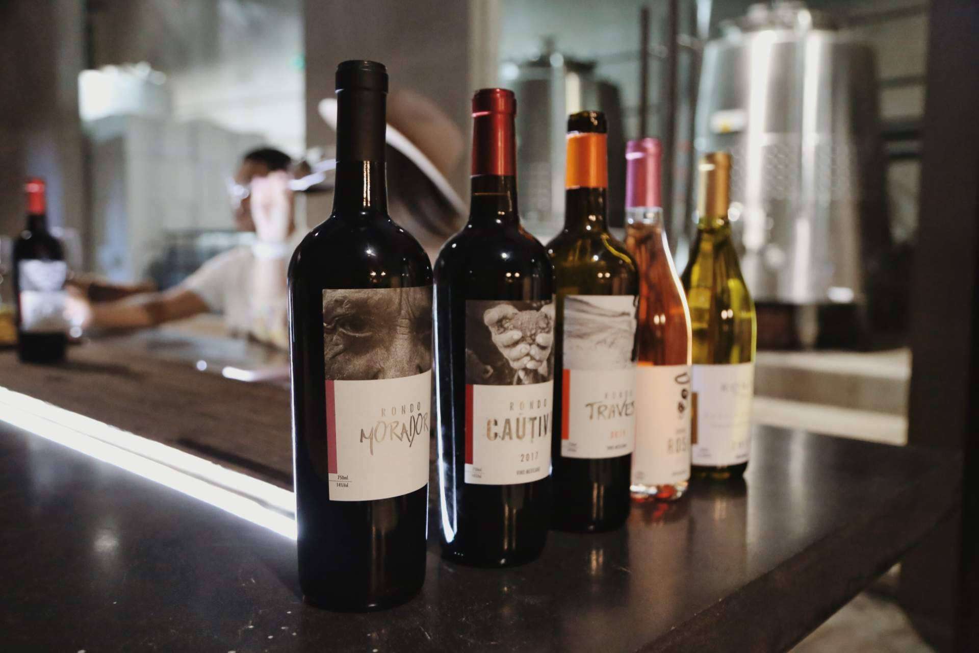 Vivir el vino desde el orígen en el Valle de Guadalupe
