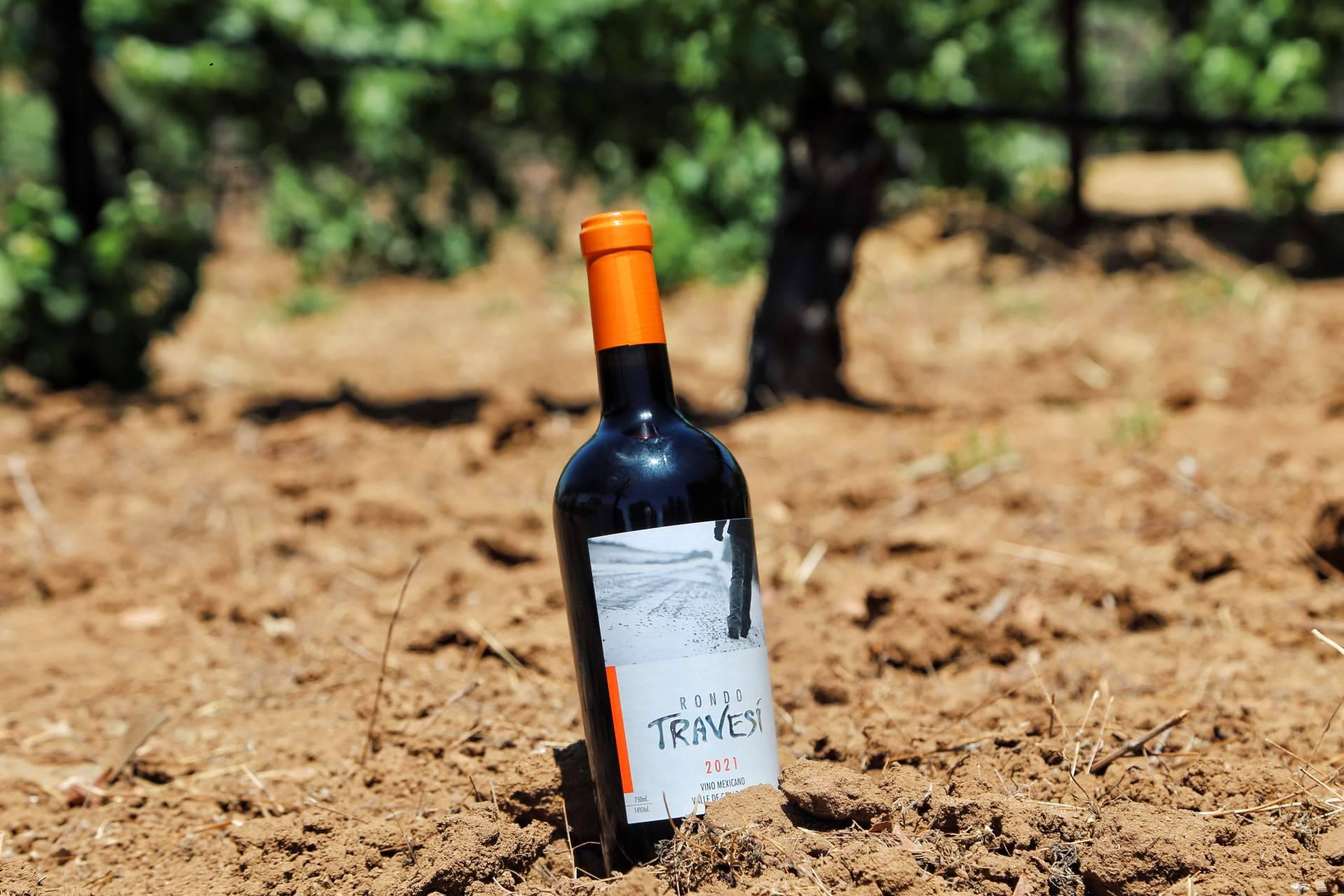 Vinos de alta calidad fabricados para cada ocasion