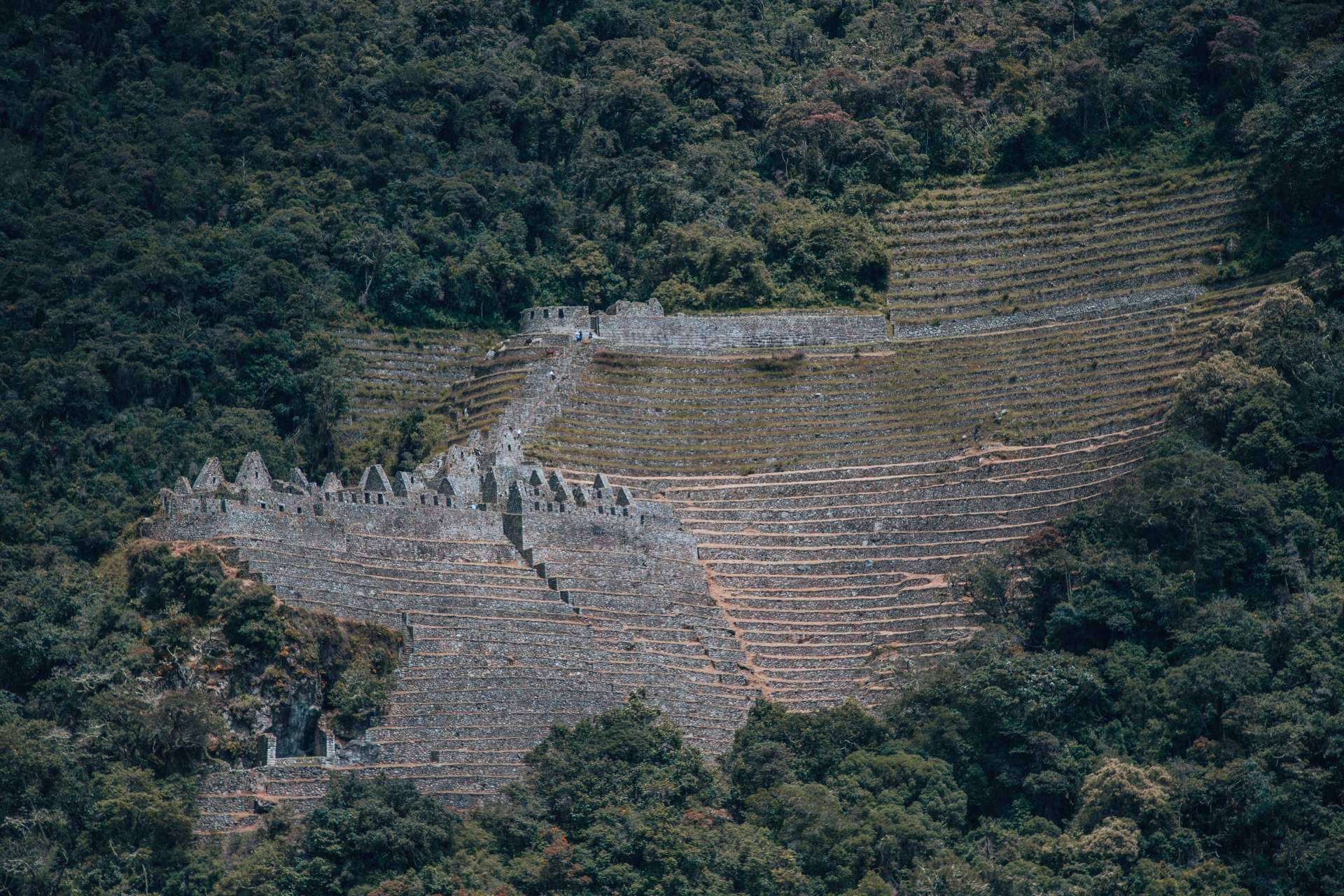 TreXperience ofrece una experiencia inolvidable de dos días con su Camino Inca Corto a Machu Picchu