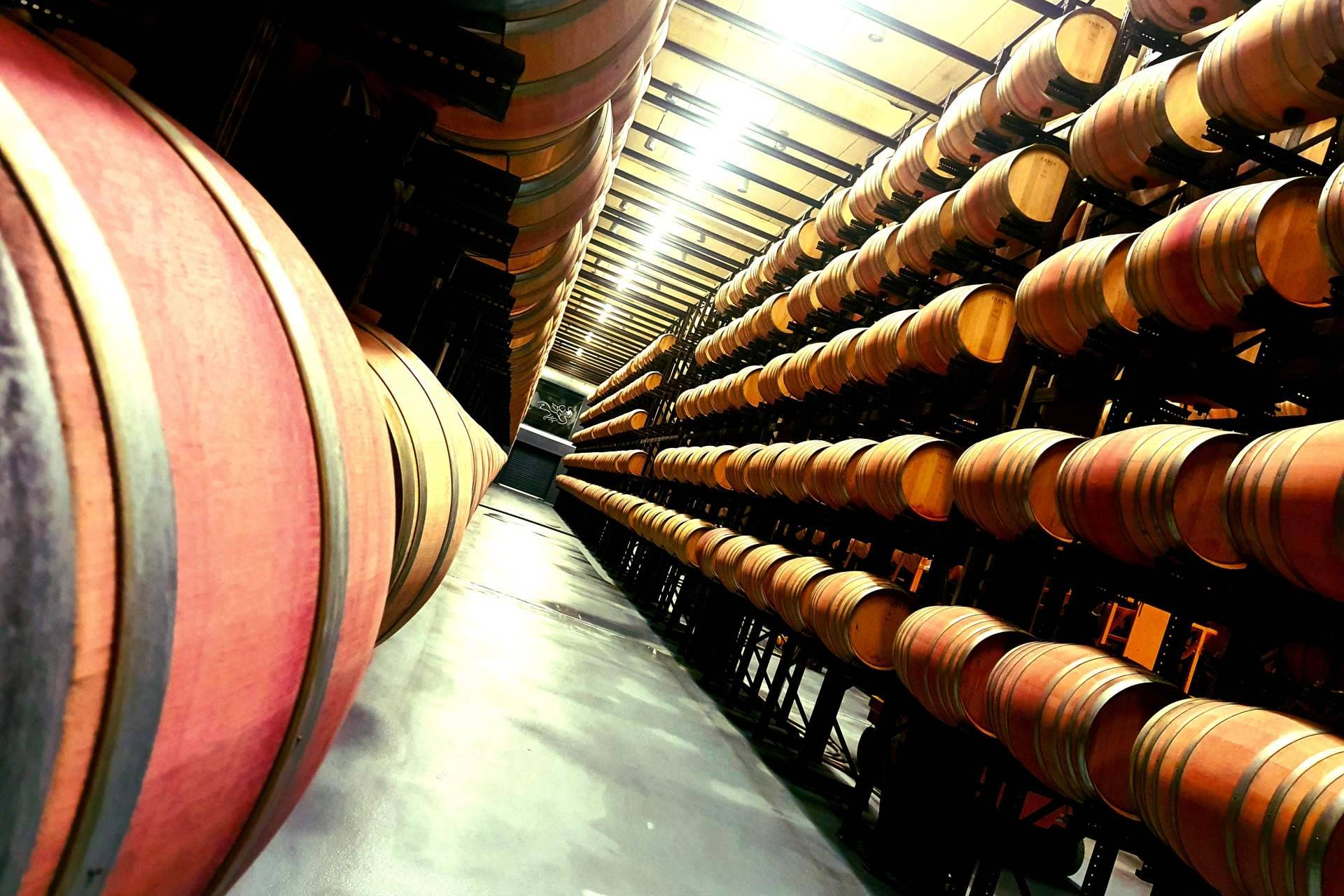 Oak and wine; an indispensable ingredient, like salt on a steak?