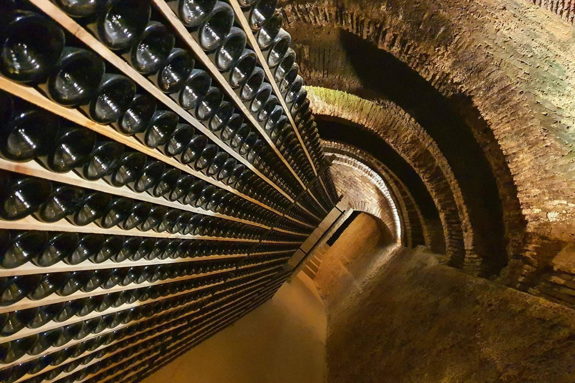 How temperature affects wine storage in a cellar