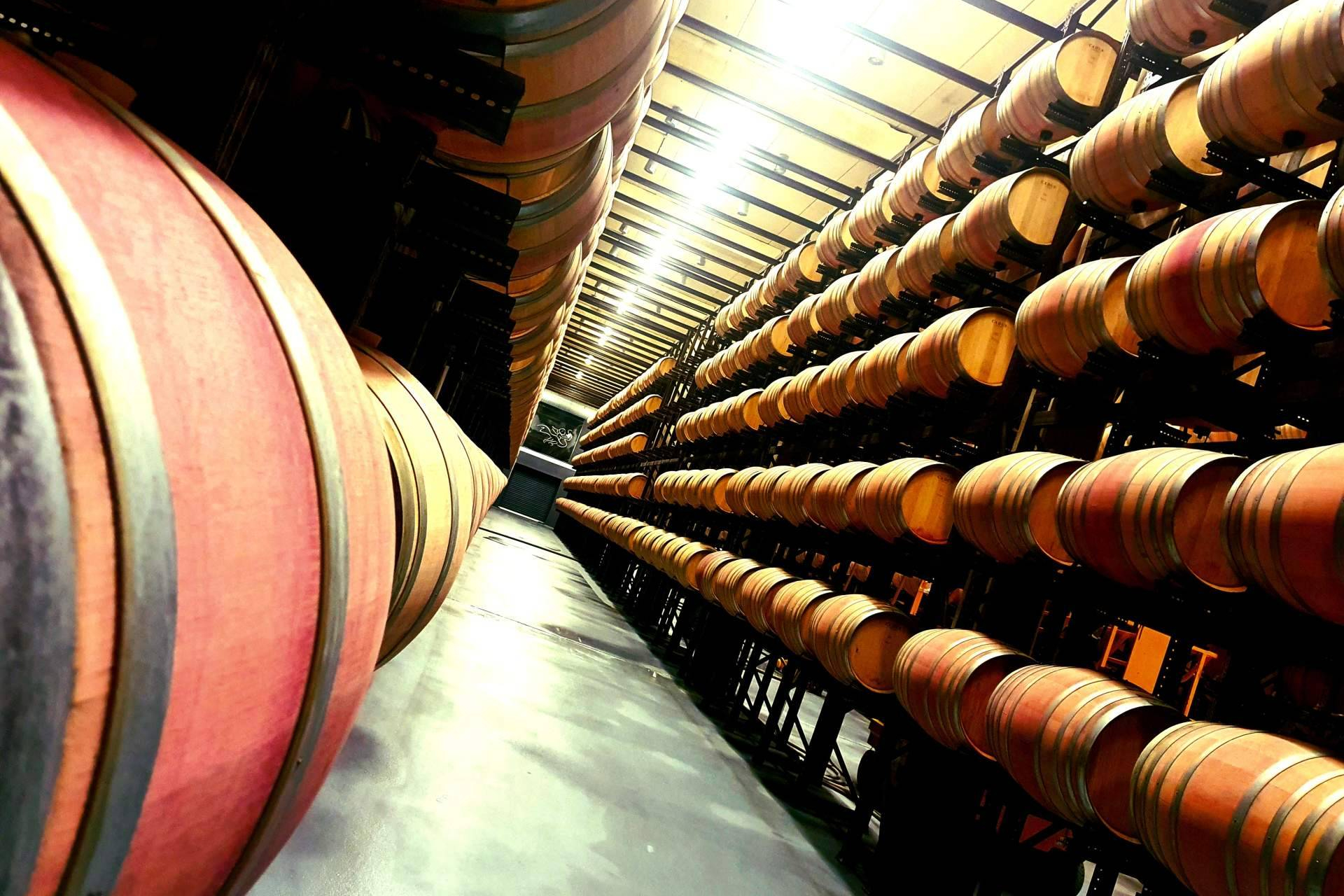 Exploring oak in winemaking, French or American barrels and their impact on flavor