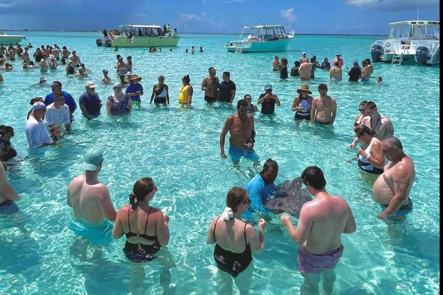Cayman Ocean Adventures consolidates its success with its iconic family adventure at Stingray City Sandba