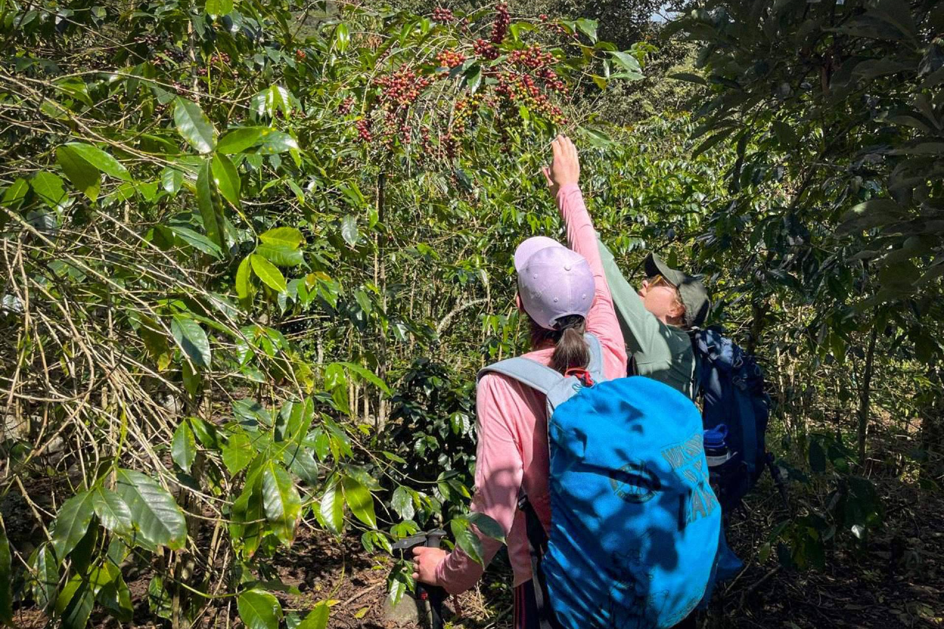 Salkantay Trek to Machu Picchu; A premium blend of adventure, comfort, culture
